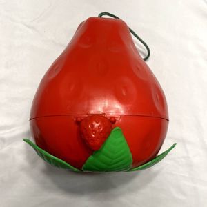 American Greetings Vintage Strawberry Shortcake Red Berry Carrying Case 1980